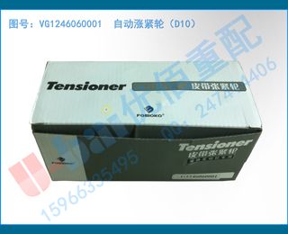 VG1246060001  Զǽ֣D10