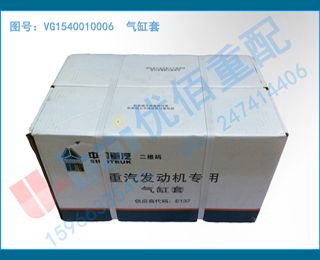 VG1540010006  