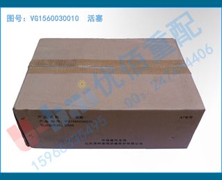 VG1560030010  