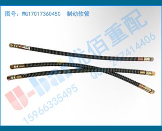WG17017360450 ƶ