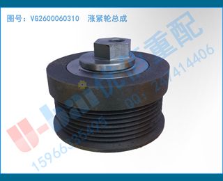 VG2600060310  ǽܳ