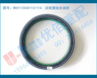 WG9112340113  ͷ