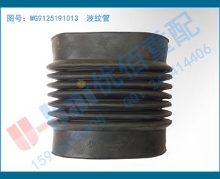 WG9125191013 ƹ
