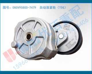 080V95800-7479  Զǽ֣T5G