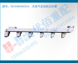 VG1540040231A  Ȼˮ