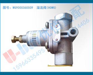 WG9000360509 (HOWO)