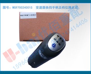 WG9700240015  ֱλܳ
