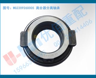 WG2209260005 