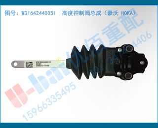 WG1642440051 ߶ȿƷܳɣ HOKA
