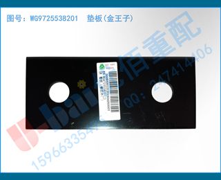 WG9725538201 ()