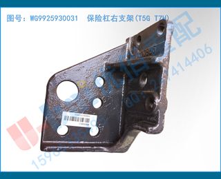 WG9925930031 ո֧(T5G T7H)