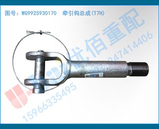 WG9925930170 ǣܳ(T7H)