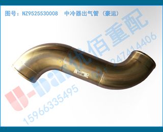 NZ9525530008  ()