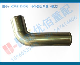 NZ9531530006  ()