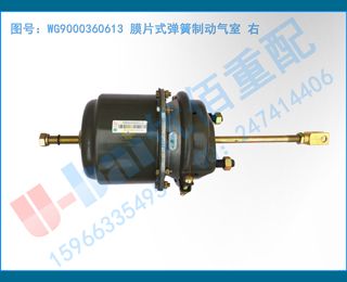 WG9000360613 ĤƬʽƶ 