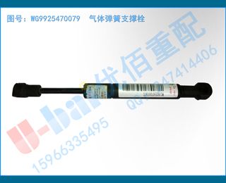 WG9925470079 嵯֧˨