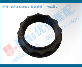 WG9981320133 ĸ AC16ţ