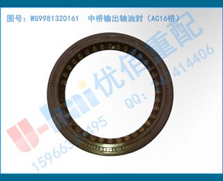 WG9981320161  ͷ⣨AC16ţ