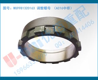 WG9981320163 ĸ AC16ţ