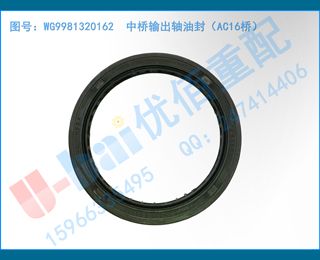 WG9981320162  ͷ⣨AC16ţ