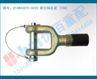 810W42015-6025 ǣܳ (T5G)