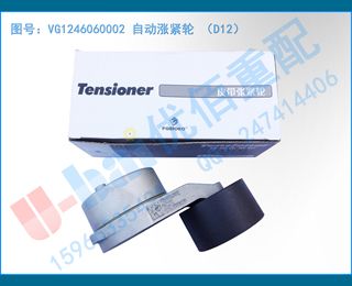 VG1246060002 Զǽ D12