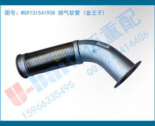 WG9131541908  ()