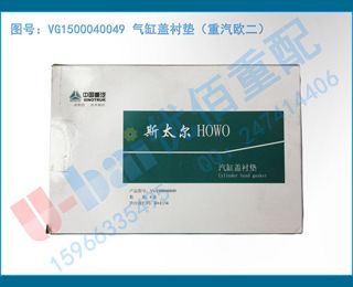 VG1500040049 ׸ǳĵ棨ŷ