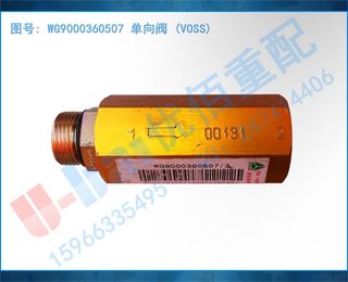 WG9000360507  (VOSS)