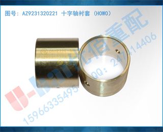AZ9231320221 ʮ (HOWO