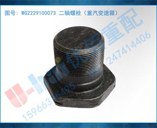 WG2229100073 ˨䣩