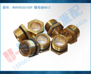 WG9000361009 ĸNG12