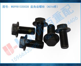 WG9981320028 ǳ˨ (AC16ţ