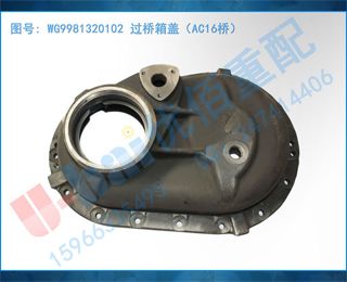 WG9981320102 ǣAC16ţ