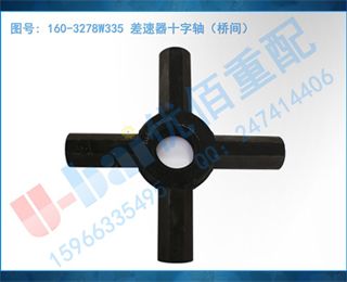 160-3278W335 ʮᣨż䣩