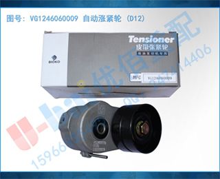 VG1246060009 Զǽ (D12)