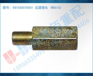 VG1560070051 ɽͷ (WD615)
