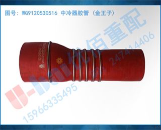 WG9120530516  ()