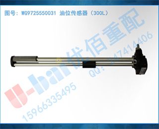 WG9725550031 λ300L