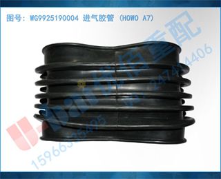 WG9925190004  (HOWO A7)