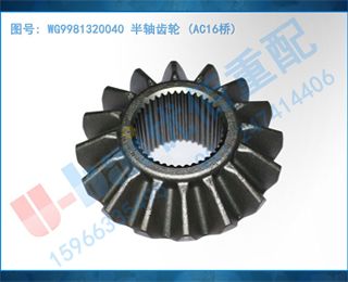 WG9981320040  (AC16)