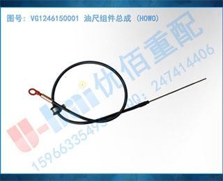 VG1246150001 ͳܳ (HOWO)