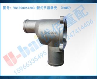 VG1500061203 ʽ HOWO)