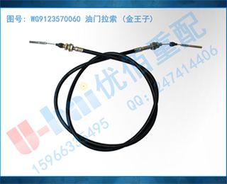 WG9123570060  ()