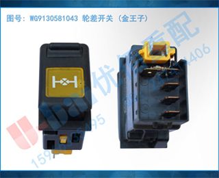 WG9130581043 ֲ ()