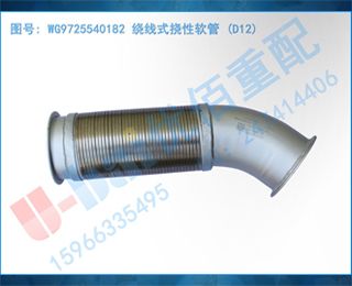 WG9725540182 ʽ (D12)