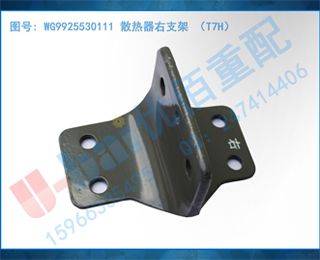 WG9925530111 ɢ֧ T7H