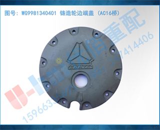 WG9981340401 ֱ߶˸ (AC16)