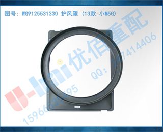WG9125531330  (13 СM5G)