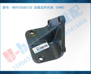 WG9725682132 ȶм (HOWO)